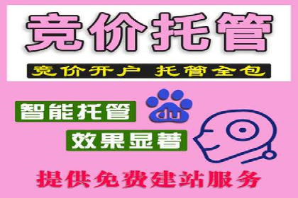 成功案例：SEM代运营服务公司助力企业品牌影响力提升